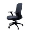 Anji (Fedo) High Back Multi-Functional Chair - CH
