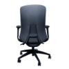 Anji (Fedo) High Back Multi-Functional Chair - CH
