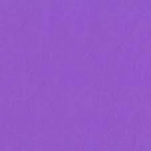 Picture of 57-015 Bristol Paper 22 1/2 x 28 1/2  Purple