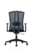 Picture of AA-267BBK Image H.B. Web Chair w/Adj. Arms - Black (DVS)